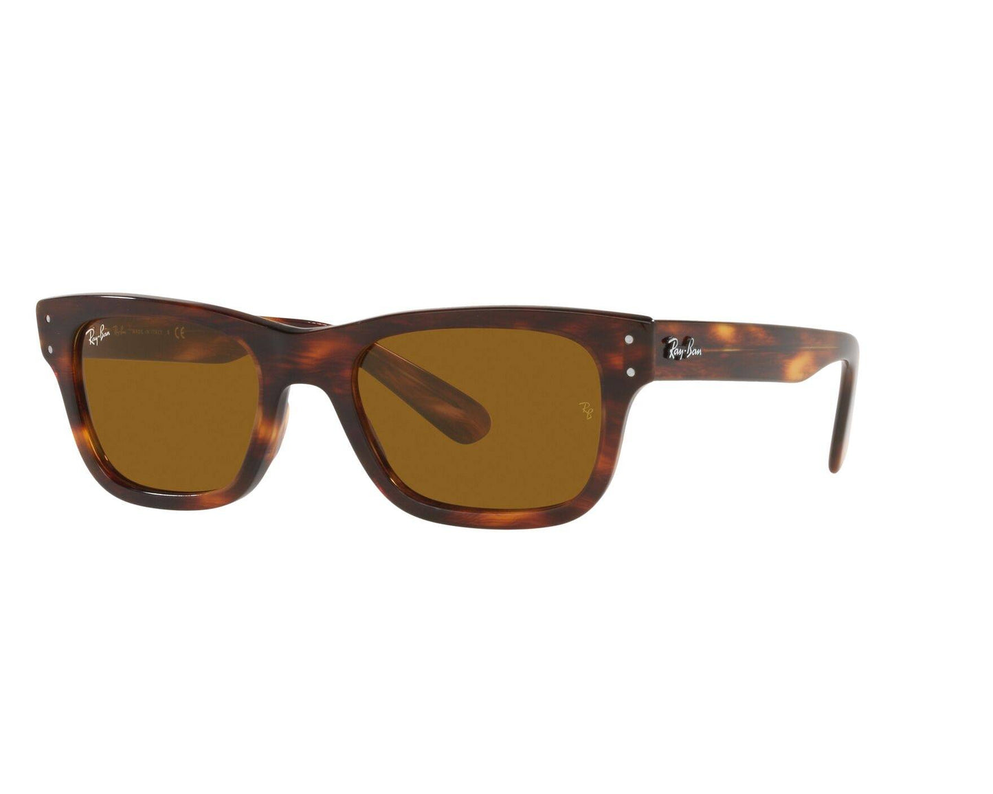 Ray-Ban Burbank Brown Rectangular